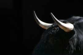 Thumbnail for 6980502