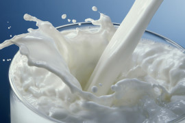 Thumbnail for 6980504