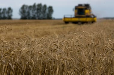 Thumbnail for 6980688