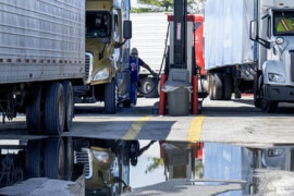 Thumbnail for 6980707