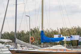 Thumbnail for 6981056