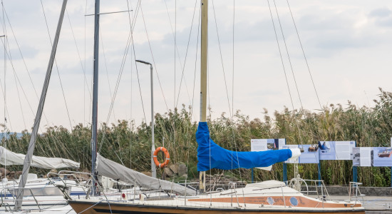 Thumbnail for 6981056