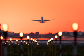 Thumbnail for 6981199