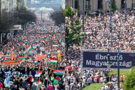 Thumbnail for 6981243