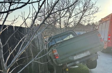 Thumbnail for 6981302