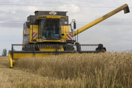 Thumbnail for 6981313