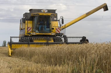 Thumbnail for 6981313