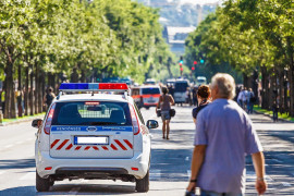 Thumbnail for 6981353