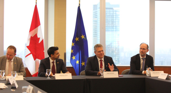 Thumbnail for 6981440