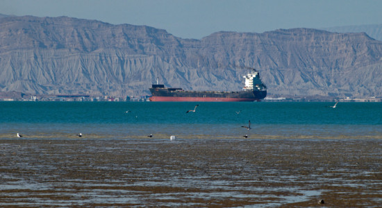 Thumbnail for 6981468