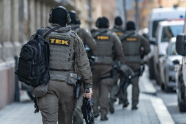 Thumbnail for 6981556