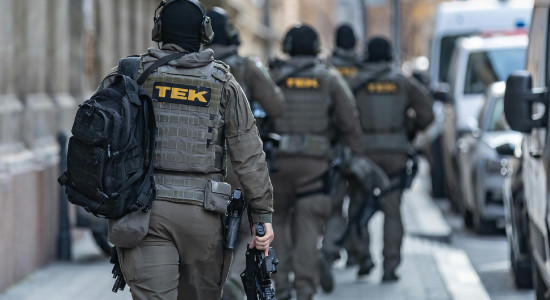 Thumbnail for 6981556