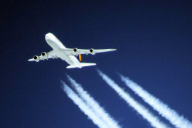 Thumbnail for 6981674