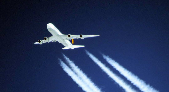 Thumbnail for 6981674