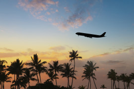 Thumbnail for 6981693