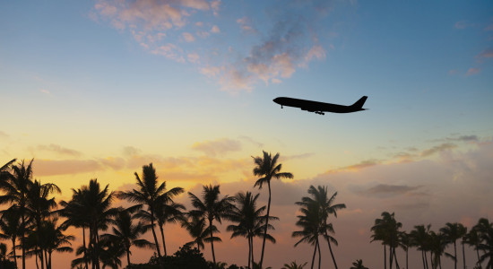 Thumbnail for 6981693