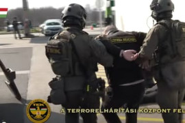 Thumbnail for 6981789