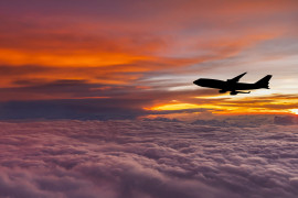 Thumbnail for 6981955