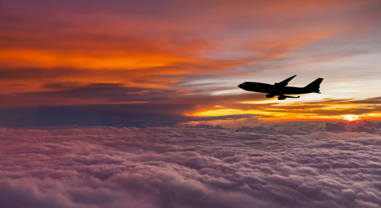 Thumbnail for 6981955