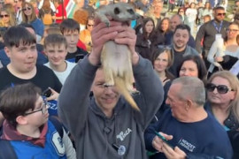 Thumbnail for 6982041