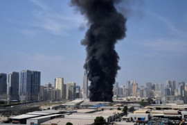 Thumbnail for 6982061