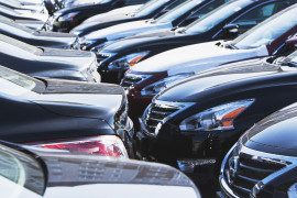 Thumbnail for 6982081