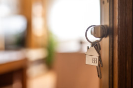 Thumbnail for 6982083