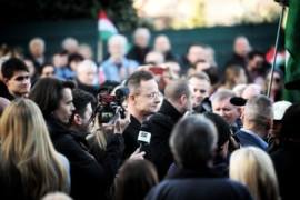 Thumbnail for 6982191