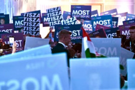 Thumbnail for 6982199