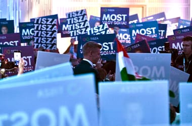 Thumbnail for 6982199