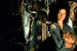 Thumbnail for 6982277