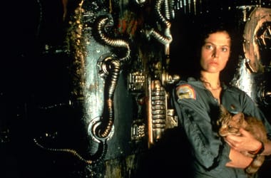 Thumbnail for 6982277