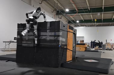 Thumbnail for 6982279