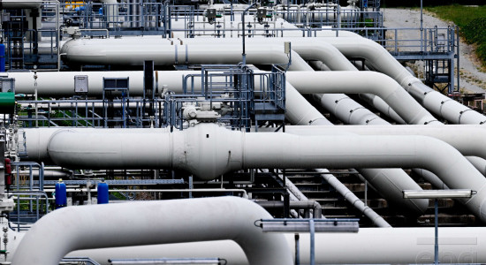 Thumbnail for 6982282