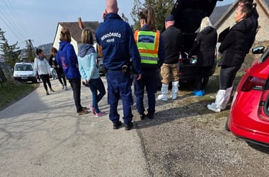 Thumbnail for 6982412