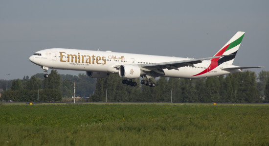 Thumbnail for 6982779