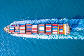 Thumbnail for 6982839