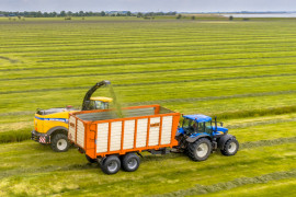 Thumbnail for 6982908