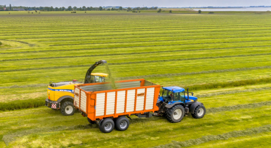 Thumbnail for 6982908