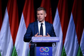 Thumbnail for 6982931