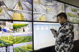 Thumbnail for 6983197