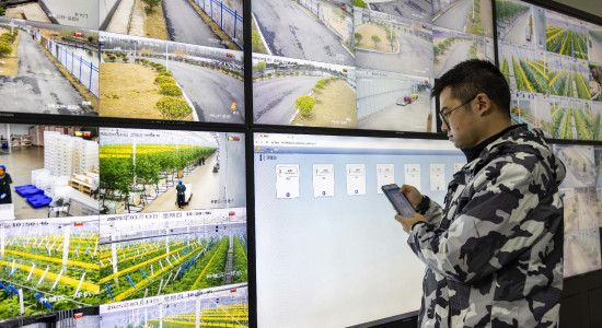 Thumbnail for 6983197