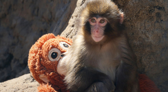 Thumbnail for 6983269