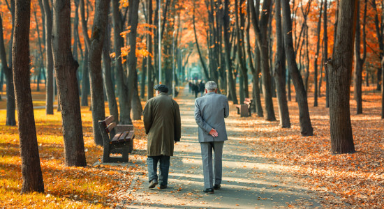 Thumbnail for 6983797