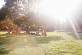 Thumbnail for 6984308