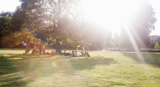 Thumbnail for 6984308