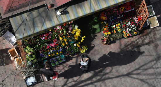 Thumbnail for 6984311