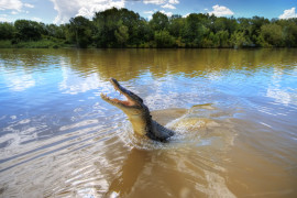 Thumbnail for 6984319