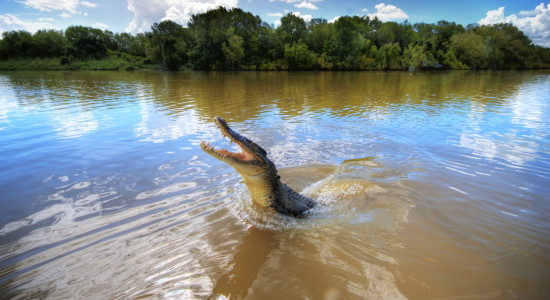 Thumbnail for 6984319