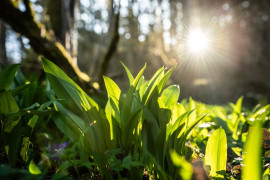 Thumbnail for 6984391